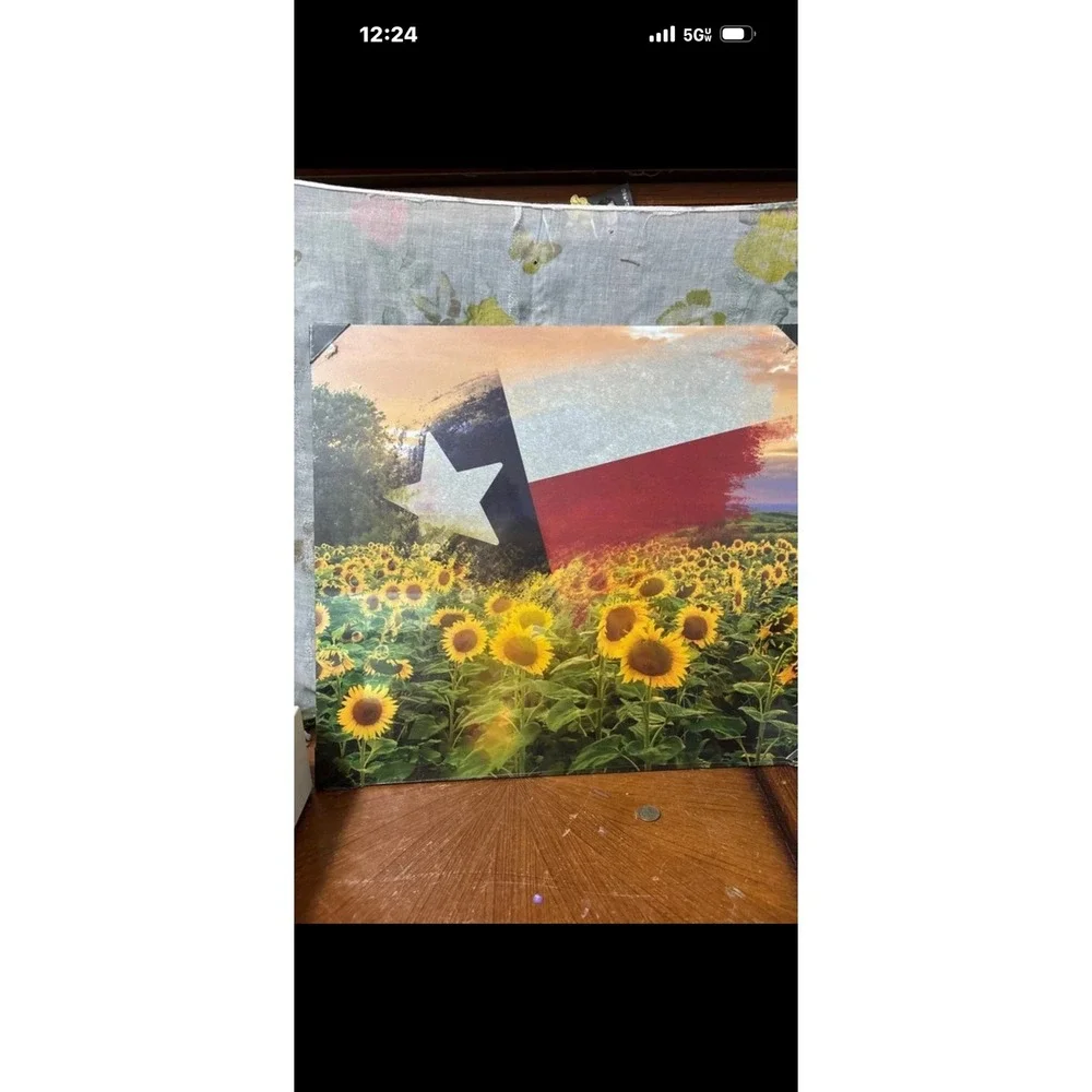 Texas Essentials Lonestar Collection Sunflower Texas Flag Wall Art WD-111 16x18